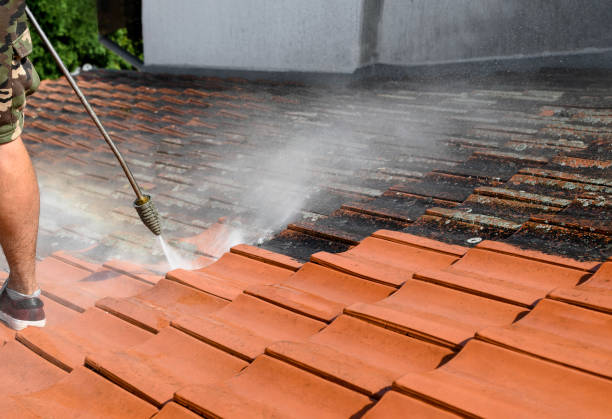 Best Affordable Pressure Washing  in Normal, IL